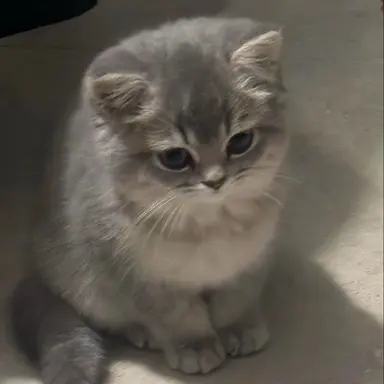 Profile image of 김지한