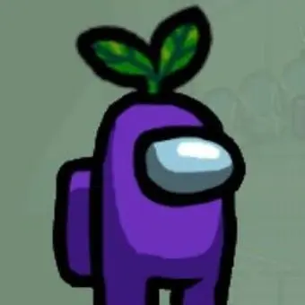 Profile image of 보라