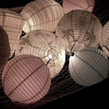 Profile image of 菊