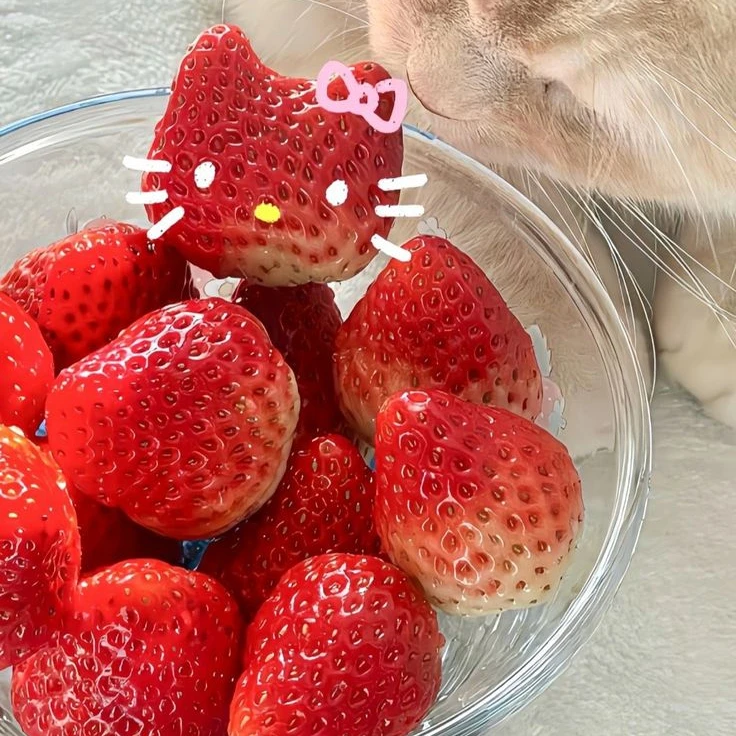 재벌가족