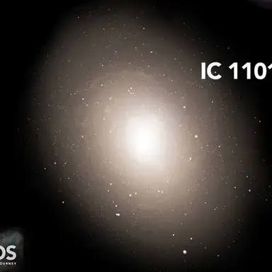 Profile image of IC 1101