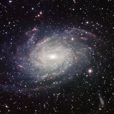 Profile image of NGC 6744