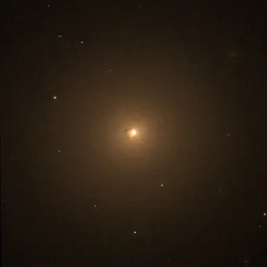 Profile image of 여우
