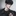 최 시 후