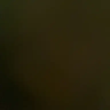 Profile image of ディスコード