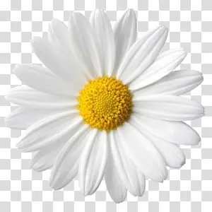 Profile image of 羽留