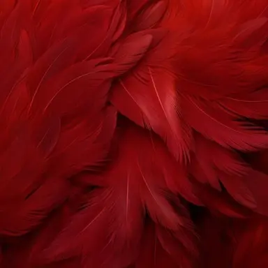 Profile image of Hawks