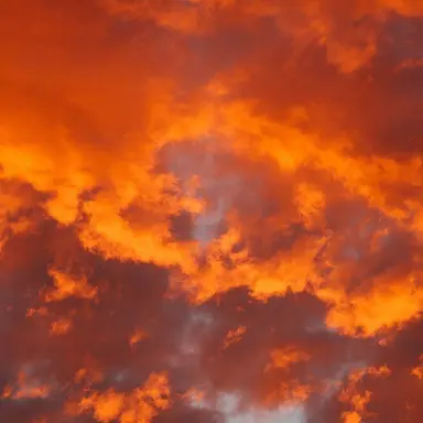 Profile image of 제미니