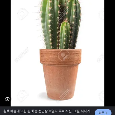 Profile image of 학원 선생님