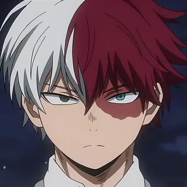 Profile image of Todoroki