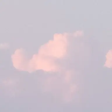 Profile image of 미나