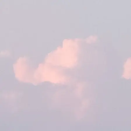 TheownerDepot의 99일 밤 살아남기!