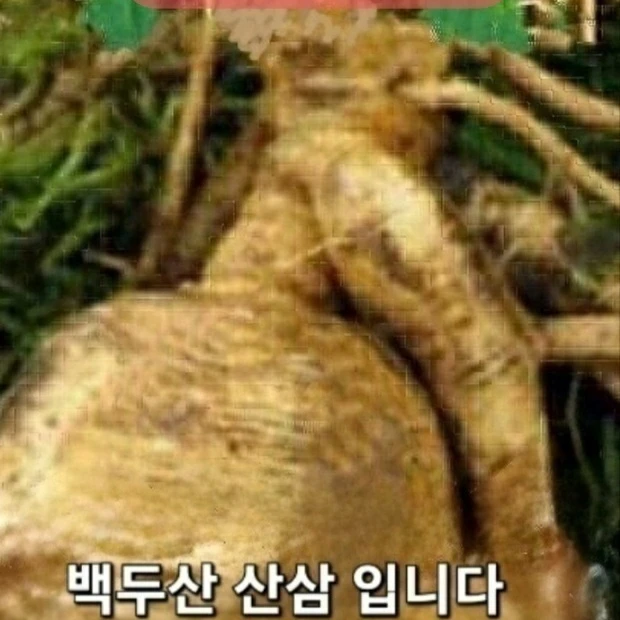 계급