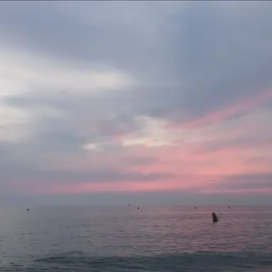 Profile image of 제미니