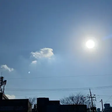 Profile image of 오뉴