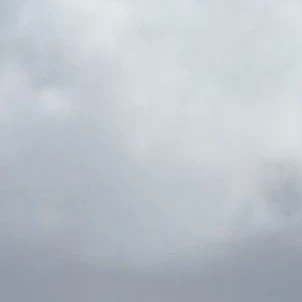 시가라키 토무라