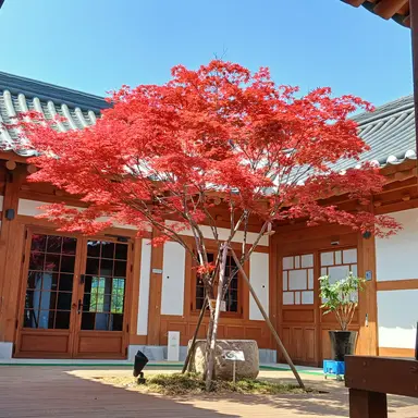 Profile image of 귀멸의 칼날