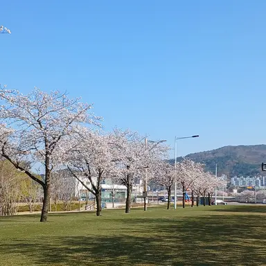 Profile image of 대저택