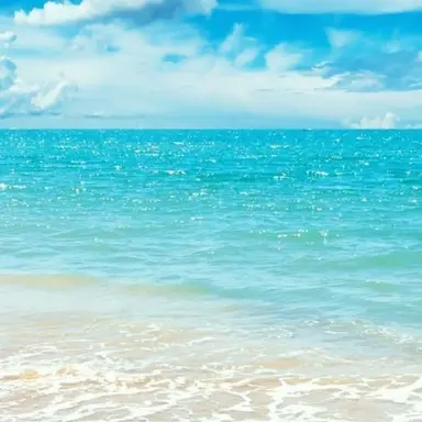 Profile image of 인트로