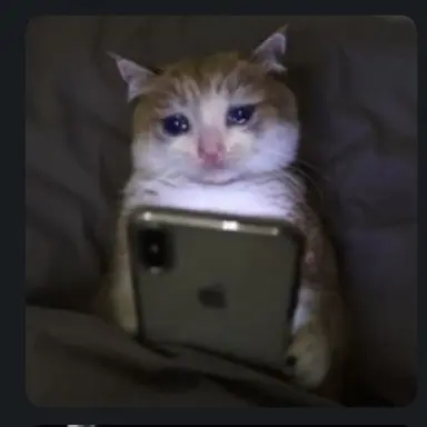 Profile image of 고양이