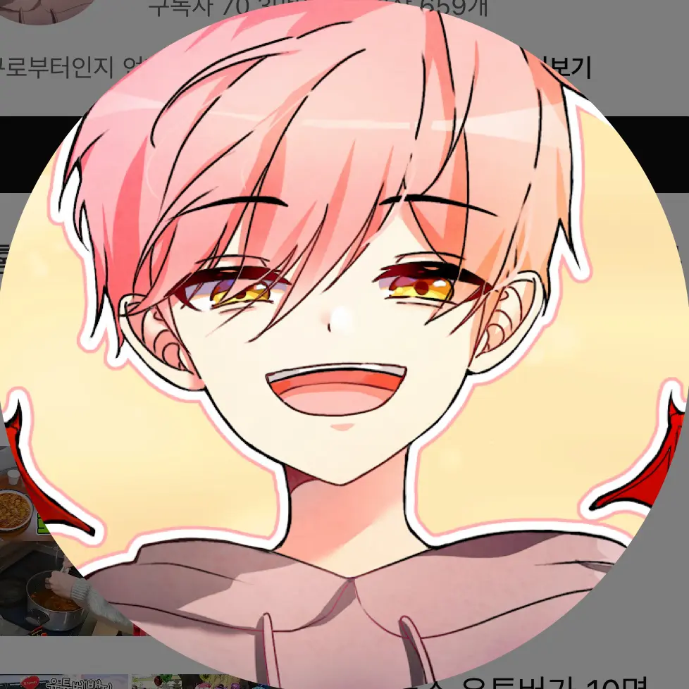 BulkyFlake4505의 료미