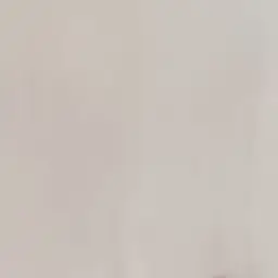 BoredTang7385의 聴覚障害の私。