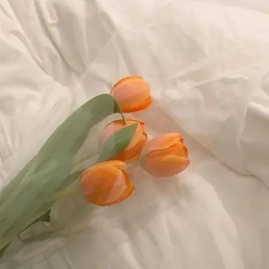 Profile image of 박 덕개