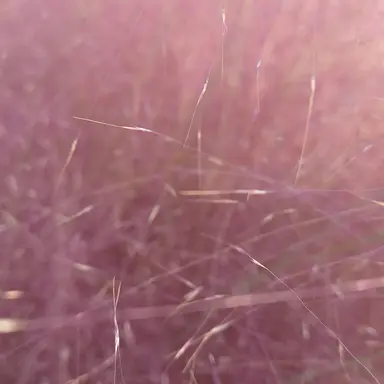 Profile image of 잭