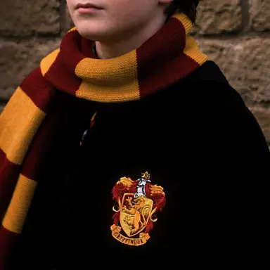 Profile image of 해리 포터