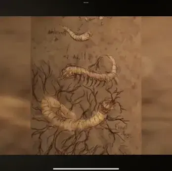 Profile image of HTTYD - Infection AU