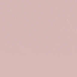 박 성 호