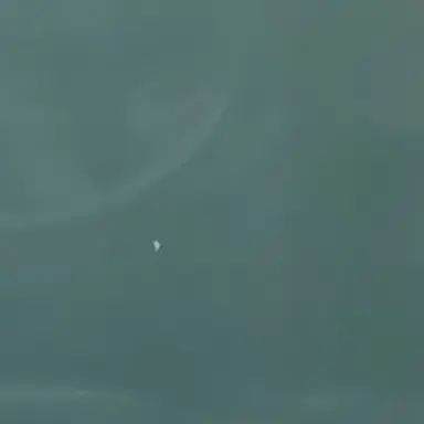 Profile image of 阿部亮平