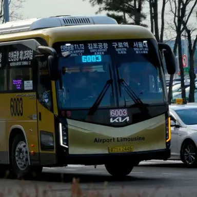 Profile image of 6003번