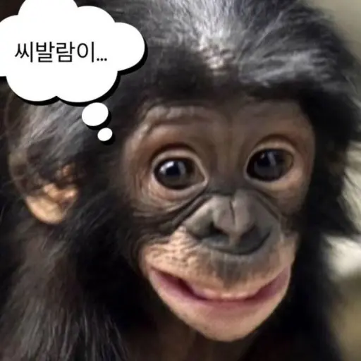 JoyfulJuicy0709의 쌈뽕