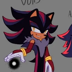 Profile image of Void