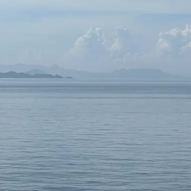 Profile image of 平野紫耀