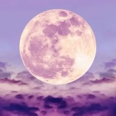 Profile image of 멜로우