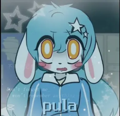 Profile image of 풀라
