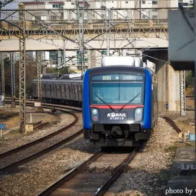 Profile image of 1호선