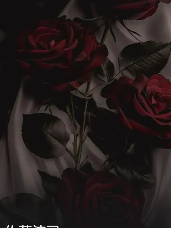 HuskyRival0264의 佐藤流司