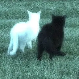 Profile image of じょんうぉん