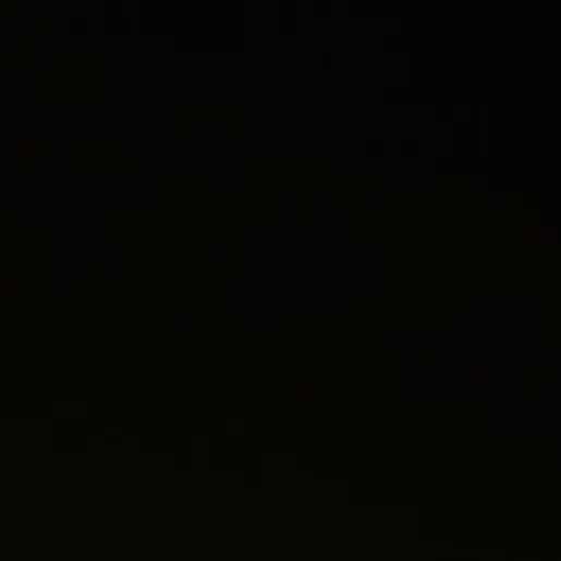 _cuxoz의 조우안신