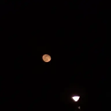 Profile image of ブリ子