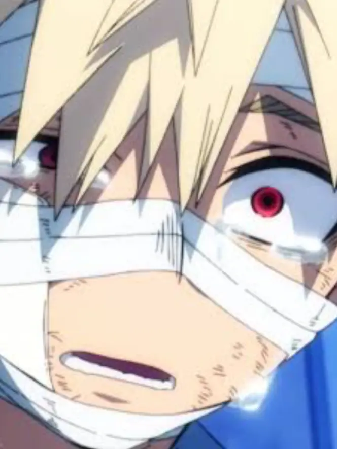 DarkWife6470의 僕のヒーローアカデミア×ブリ子