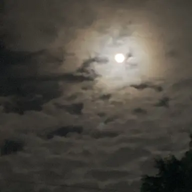 Profile image of 꽥꽥 탐험대