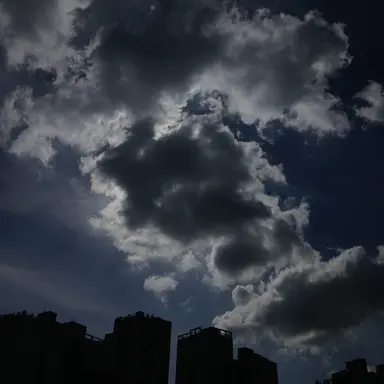 Profile image of 라더