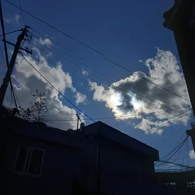 Profile image of 뜰팁