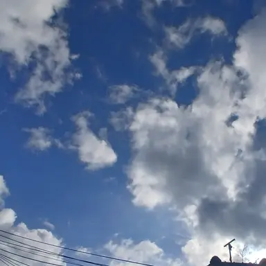 Profile image of 수현