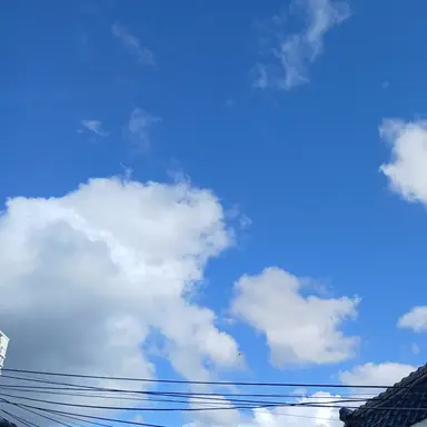 Profile image of 덕개