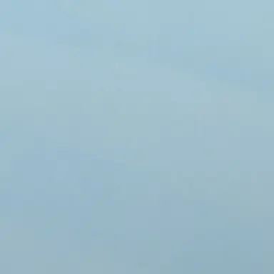 Profile image of らぴす
